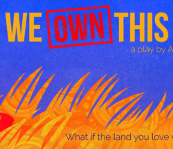 We Own This Now Ted&Co show